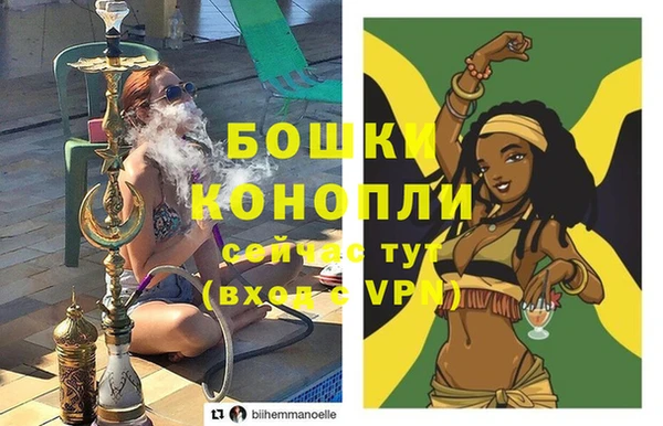 прущие грибы Белокуриха