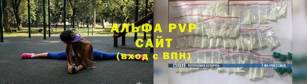 прущие грибы Белокуриха