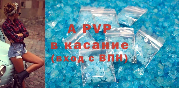прущие грибы Белокуриха