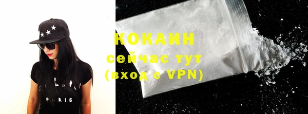СК Осинники