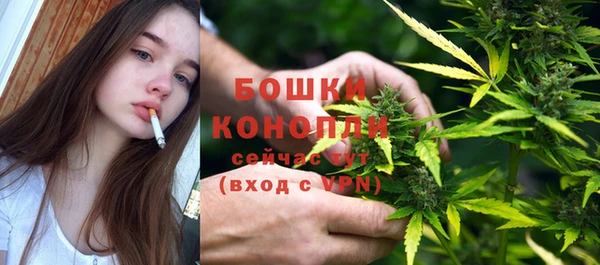 прущие грибы Белокуриха