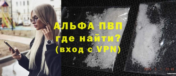 прущие грибы Белокуриха