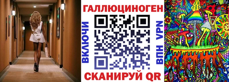 где найти   Окуловка  Псилоцибиновые грибы прущие грибы 